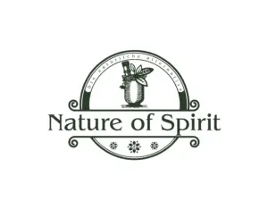 Nature of Spirit