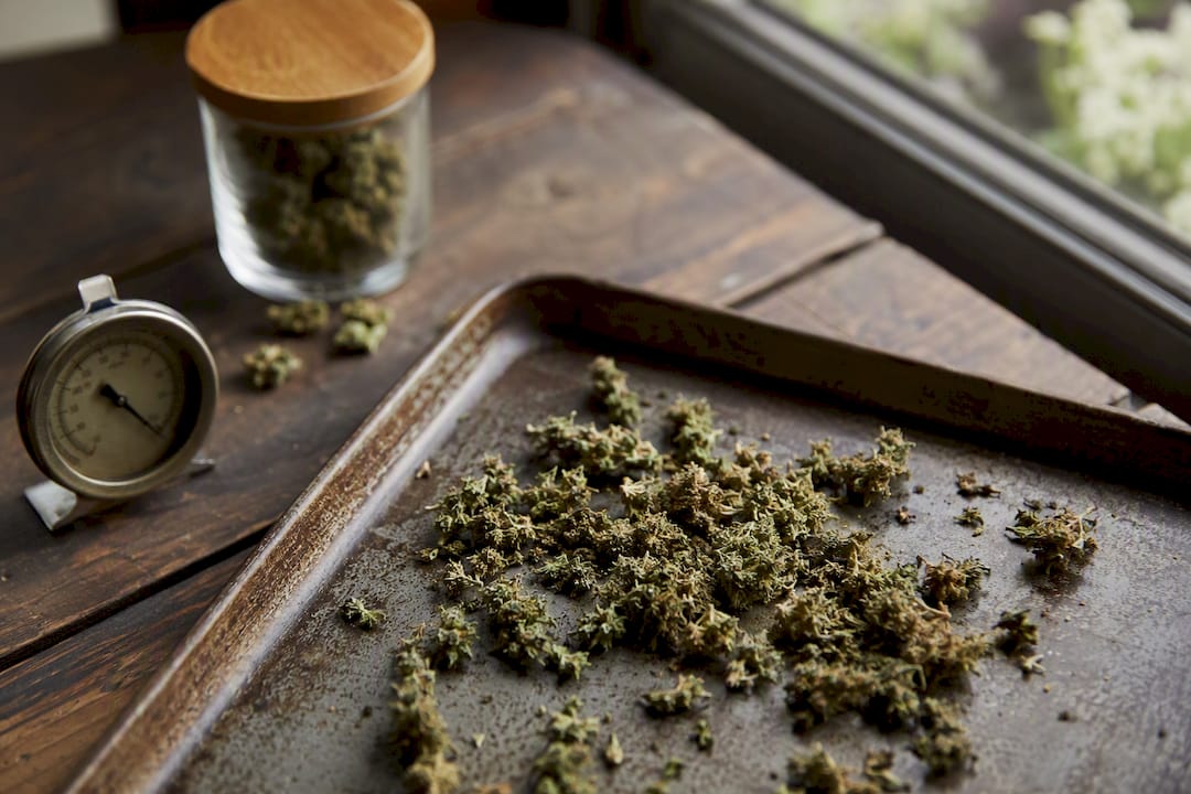 Getrocknete CBD-Hanfblüten auf einem Backblech mit Thermometer