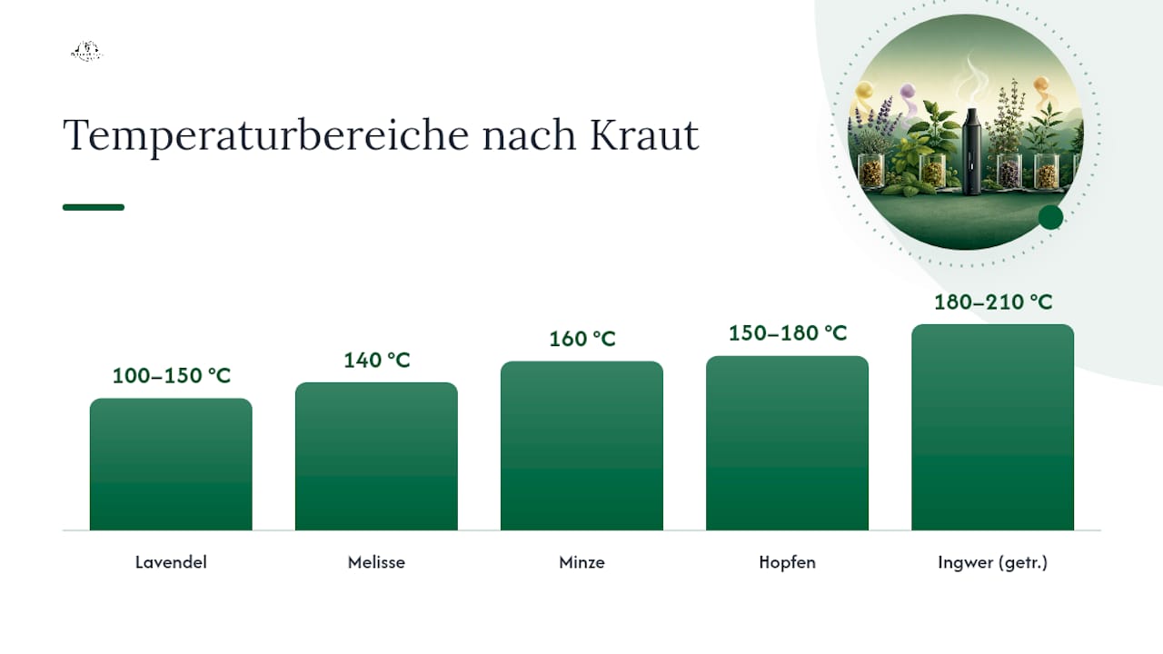 Welche Temperatur passt zu welchem Kraut? — overview diagram