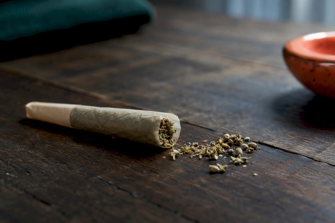 Nicht angezündeter CBD-Extrakt-Joint mit Hanfblüten