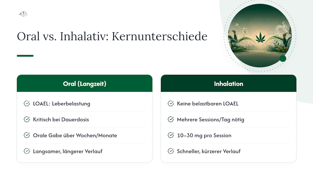 Vergleich der oralen und inhalativen Aufnahme von CBD