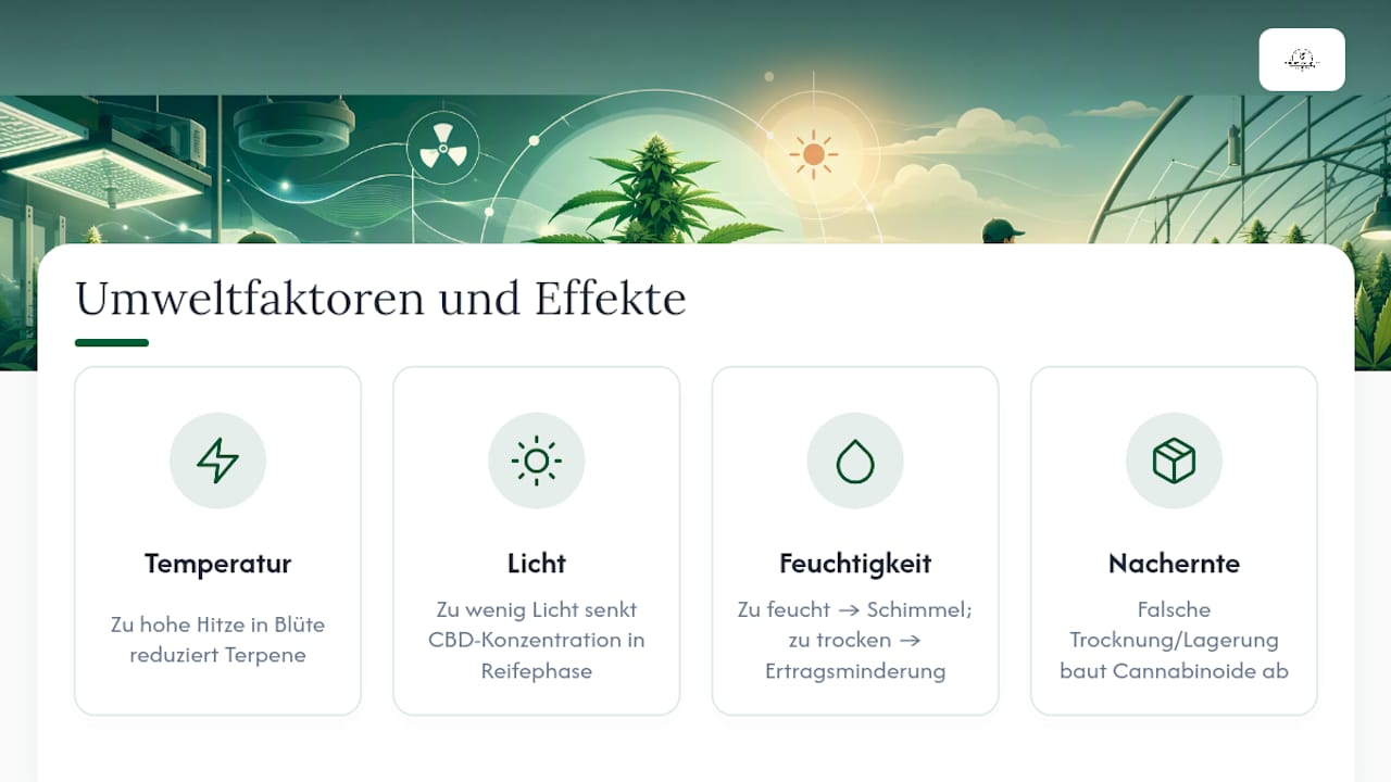 Wie beeinflussen Umweltbedingungen die CBD-Qualität? — overview diagram