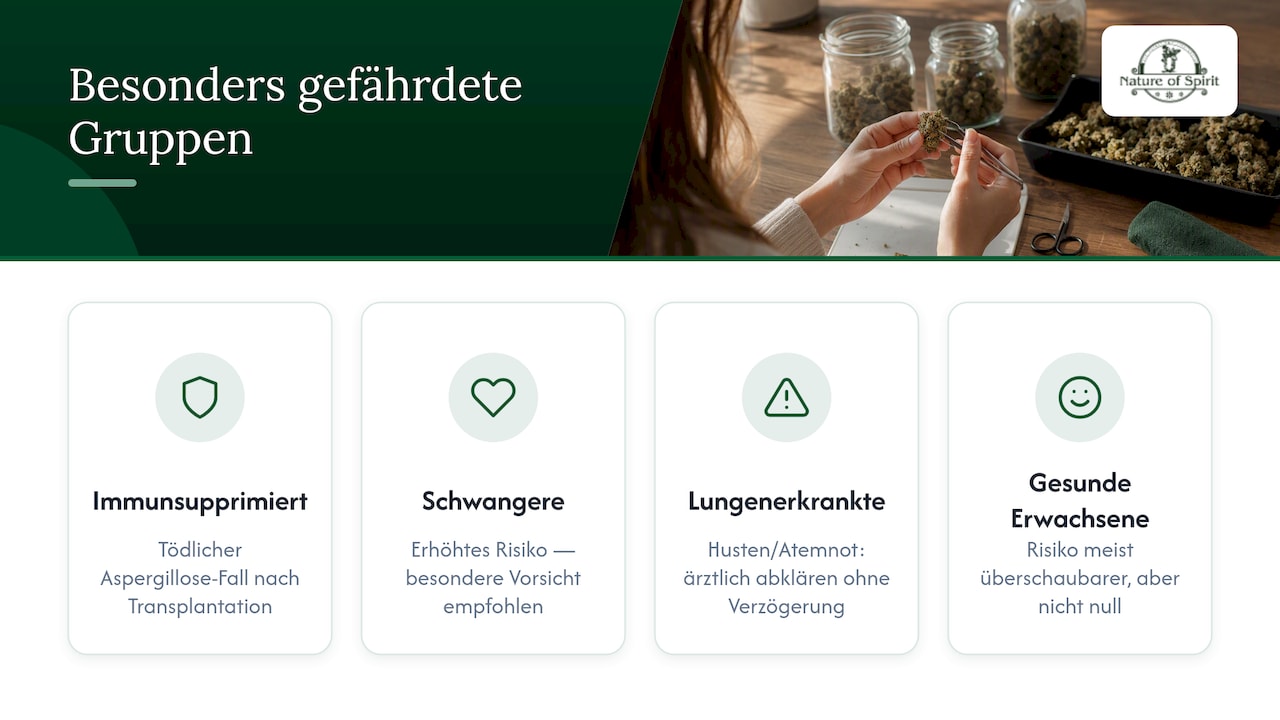 Gesundheitsrisiken beim Konsum verschimmelter Blüten — overview diagram
