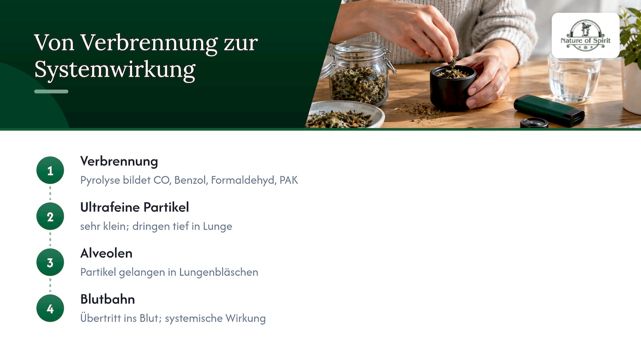 Weg ultrafeiner Rauchpartikel in die Blutbahn
