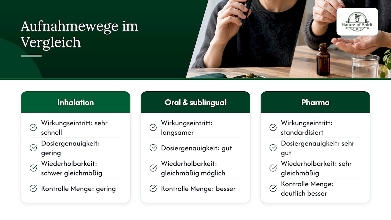 Vergleich unterschiedlicher Methoden zur CBD-Aufnahme