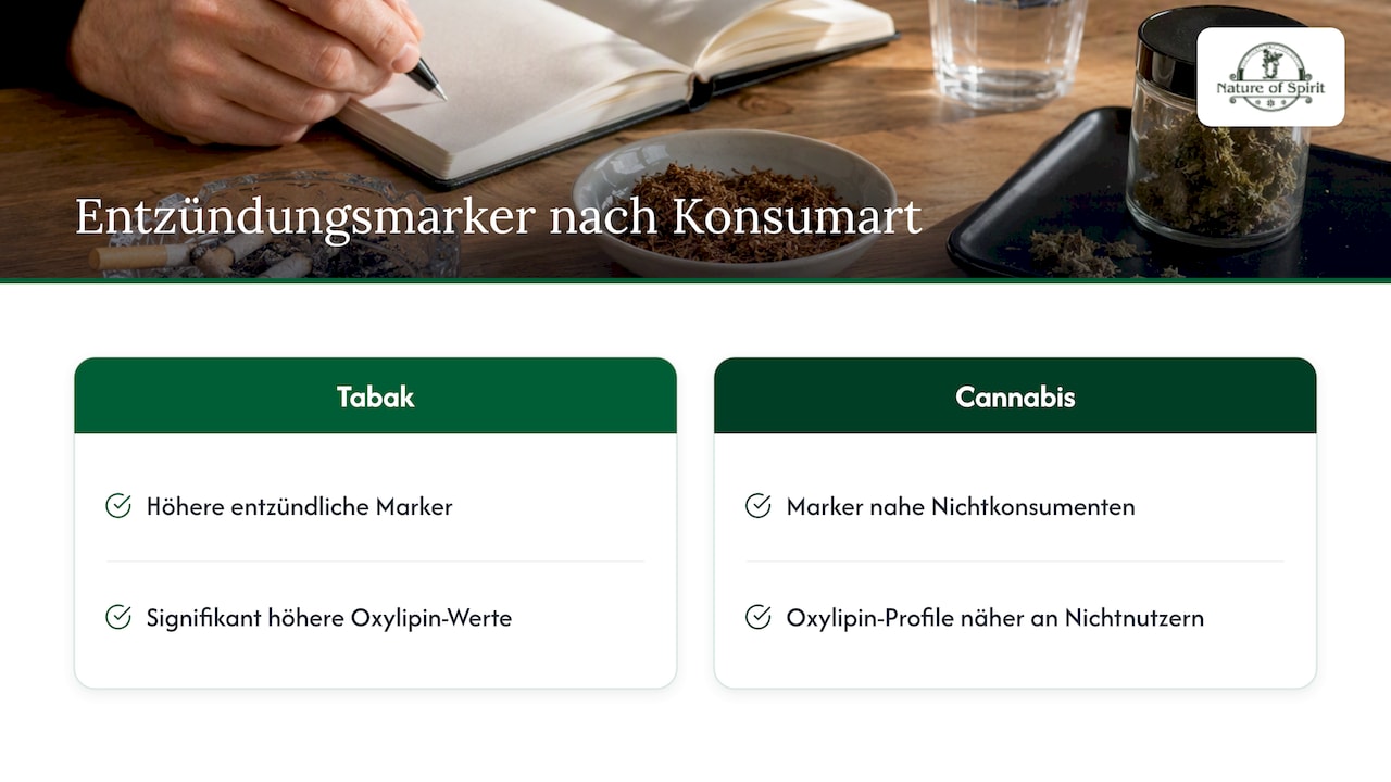 Gesundheitliche Aspekte und Forschung zu Biomarkern und Co‑Konsum — overview diagram