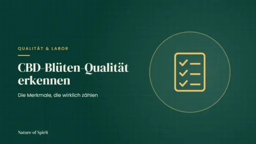 CBD-Blüten-Qualität erkennen: Die Merkmale, die wirklich zählen