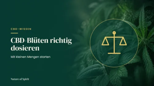 CBD-Blüten richtig dosieren: Mit kleinen Mengen starten