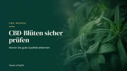 CBD-Blüten sicher prüfen: Woran Sie gute Qualität erkennen