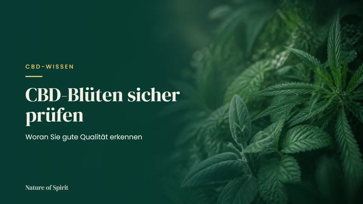 CBD-Blüten sicher prüfen: Woran Sie gute Qualität erkennen