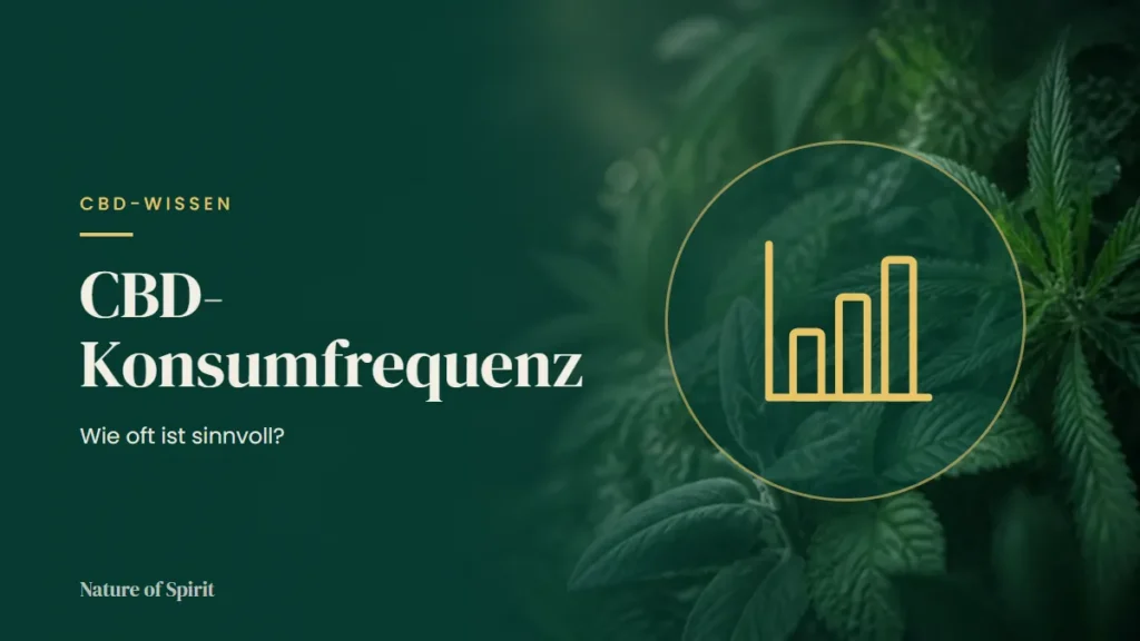 CBD-Konsumfrequenz: Wie oft ist sinnvoll?