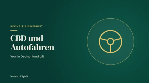 CBD und Autofahren: Was in Deutschland gilt