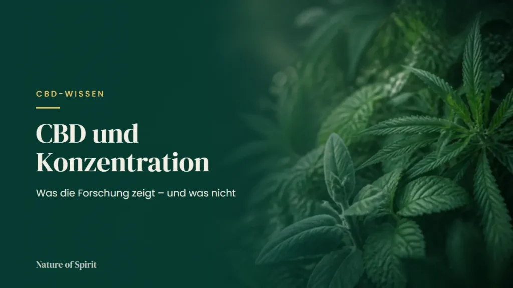 CBD und Konzentration: Was die Forschung zeigt – und was nicht