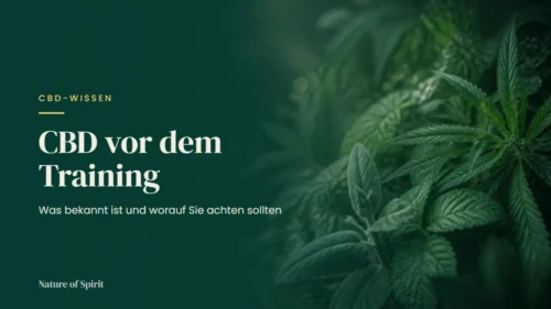 CBD vor dem Training: Was bekannt ist und worauf Sie achten sollten