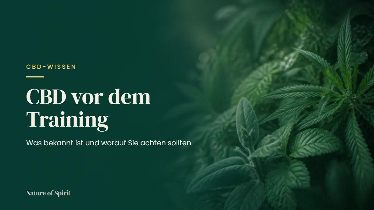 CBD vor dem Training: Was bekannt ist und worauf Sie achten sollten