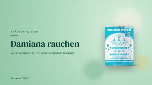 Damiana rauchen: Was bekannt ist und welche Risiken bleiben