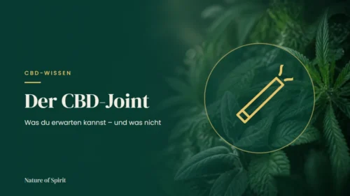 Der CBD-Joint: Was du erwarten kannst – und was nicht