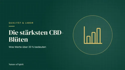 Die stärksten CBD-Blüten: Was Werte über 20 % bedeuten