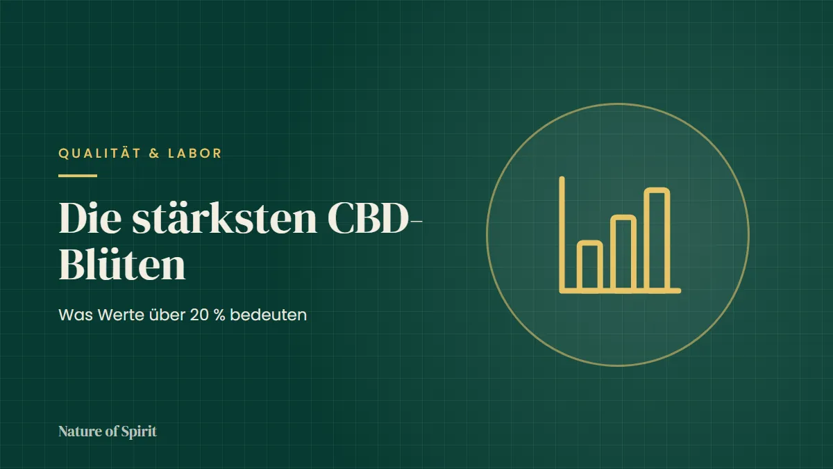 Die stärksten CBD-Blüten: Was Werte über 20 % bedeuten