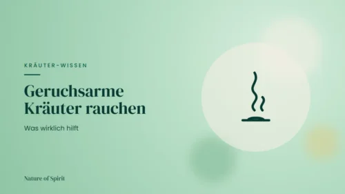 Geruchsarme Kräuter rauchen: Was wirklich hilft