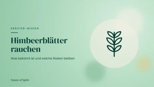 Himbeerblätter rauchen: Was bekannt ist und welche Risiken bleiben