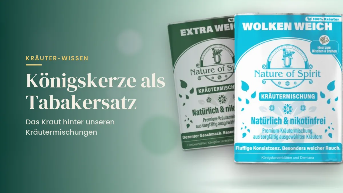 Königskerze als Tabakersatz: Kräutermischungen Wolken Weich und Extra Weich
