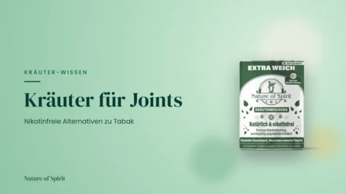 Kräuter für Joints: Nikotinfreie Alternativen zu Tabak