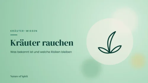 Kräuter rauchen: Was bekannt ist und welche Risiken bleiben