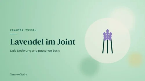 Lavendel im Joint: Duft, Dosierung und passende Basis