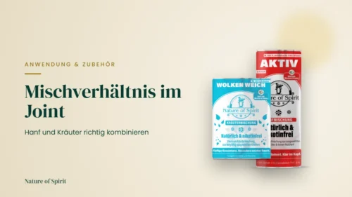 Mischverhältnis im Joint: Hanf und Kräuter richtig kombinieren