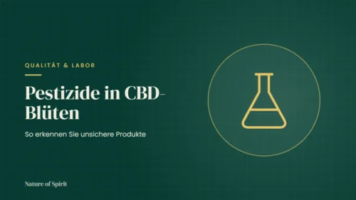 Pestizide in CBD-Blüten: So erkennen Sie unsichere Produkte