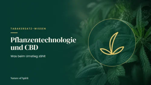 Pflanzentechnologie und CBD: Was beim Umstieg zählt