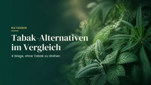 Tabak-Alternativen im Vergleich: dunkelgrüner Hintergrund mit Kräutern und Hanfblättern
