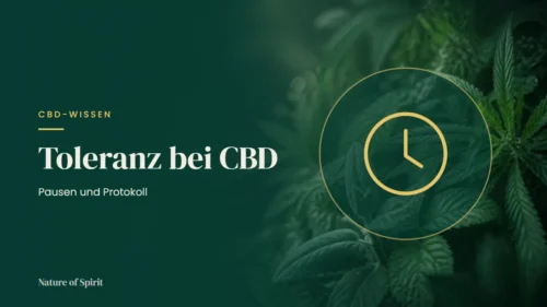 Toleranz bei CBD: Pausen und Protokoll