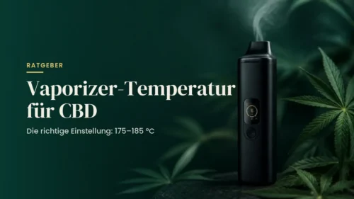 Vaporizer-Temperatur für CBD: Vaporizer vor dunkelgrünem Hintergrund mit Hanfblättern