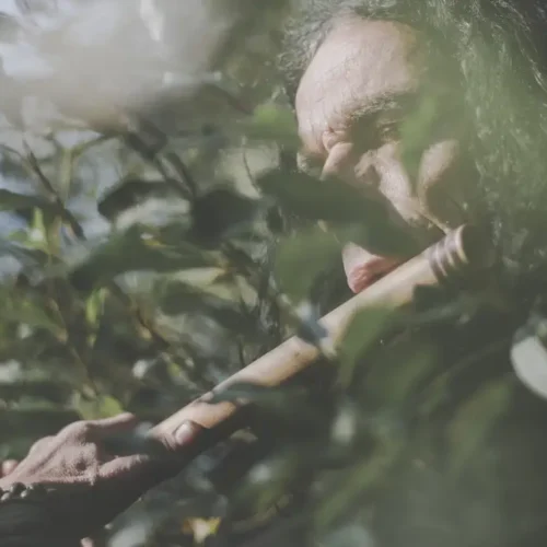 man-playing-flute-while-standing-forest