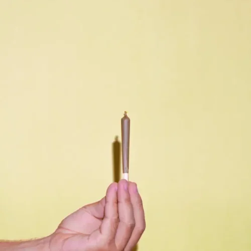 Vertical photograph of a hand holding a cannabis joint on yellow background. Concept of therapeutic cannabis, medical cannabis, legalization of cannabis